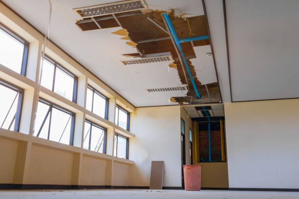 Best Water damage contractors near me  in Loudon, TN