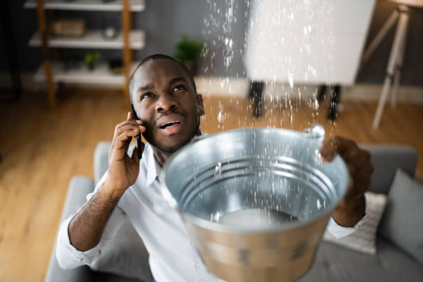 Best Residential water damage restoration  in Loudon, TN