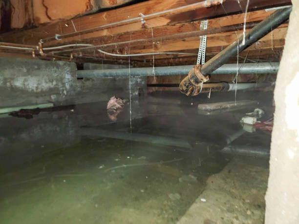 24/7 water damage repair in TN