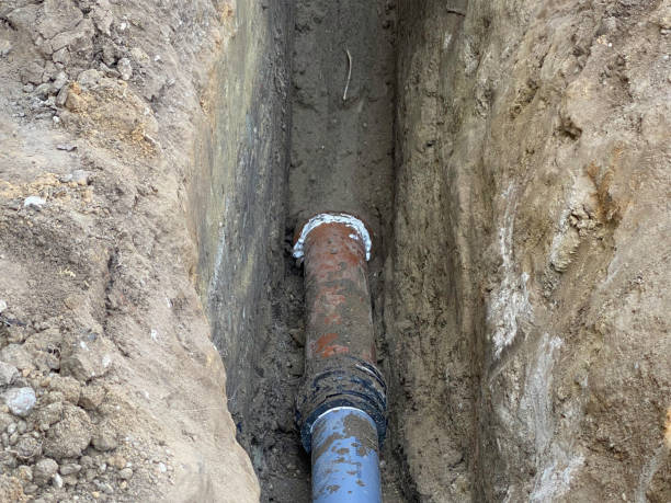 Best Sewage cleanup and water damage restoration  in Loudon, TN