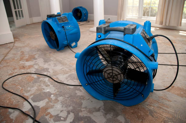 Best Water damage restoration near me  in Loudon, TN