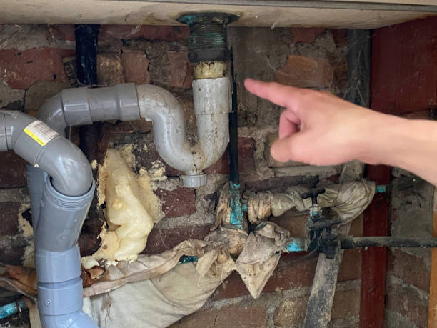 Best Basement water damage restoration  in Loudon, TN