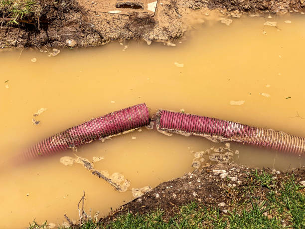 Best Water damage restoration insurance claims  in Loudon, TN